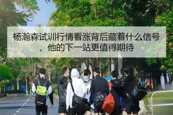 杨瀚森试训行情看涨背后藏着什么信号，他的下一站更值得期待